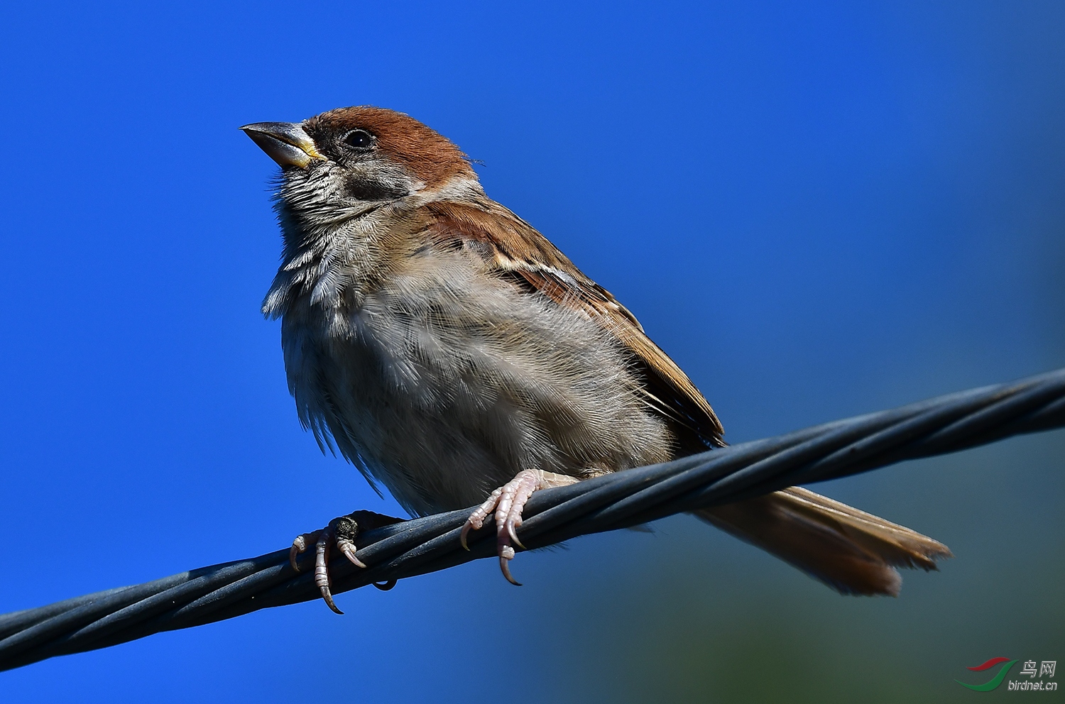DSC_6381.jpg