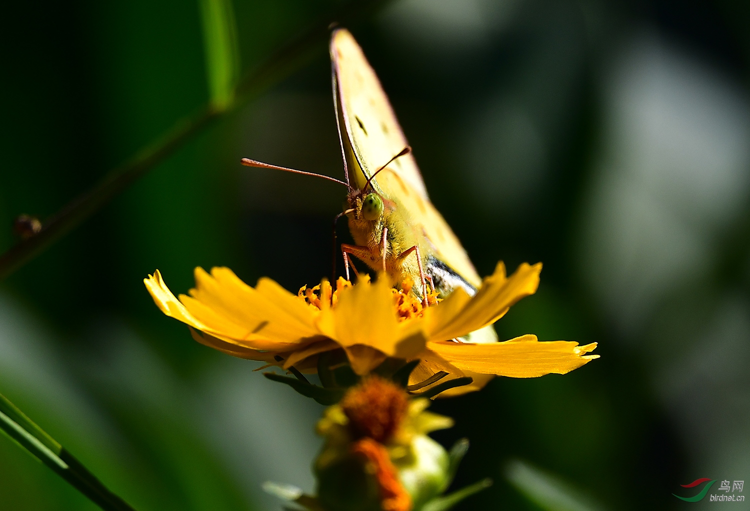 DSC_6420.jpg