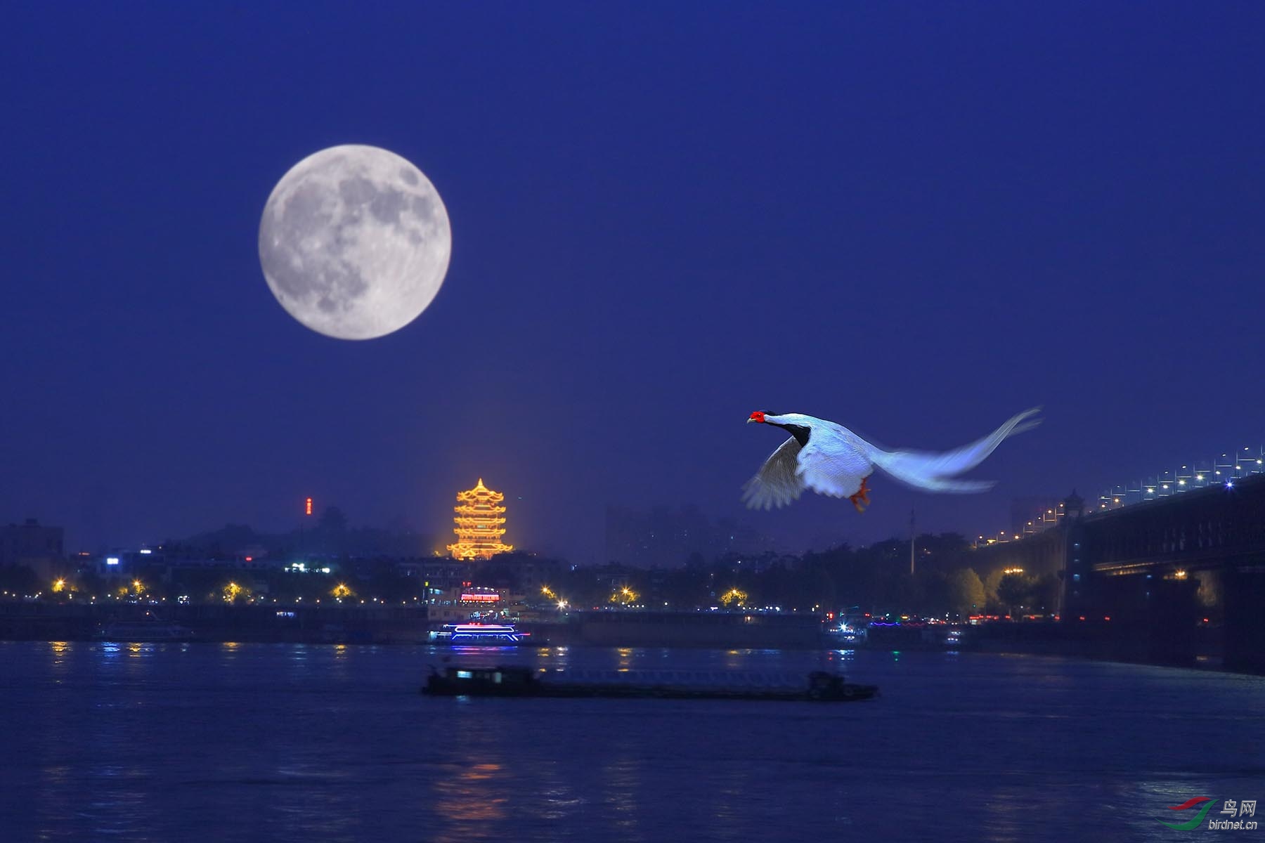 仙子追月庆中秋祝福老师们节日快乐大片连连