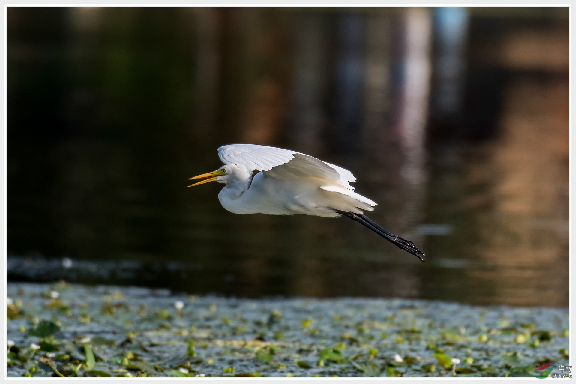 ʲô���ָ㲻����