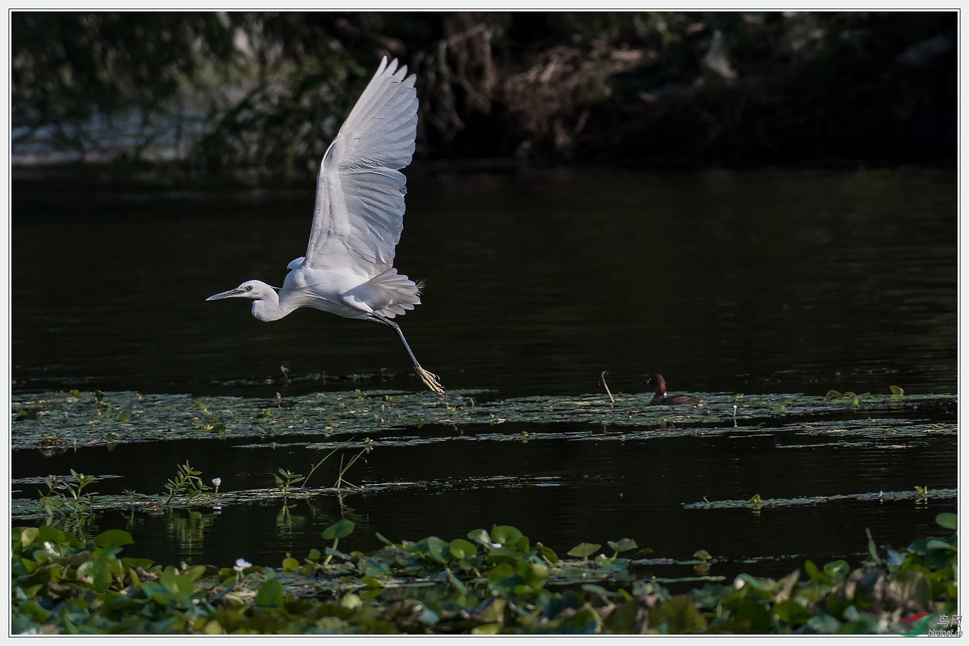 ��ֻ���а��ذɡ�