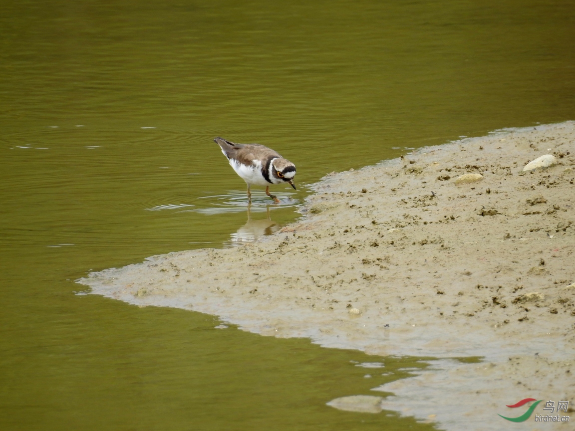 DSCN6860.JPG