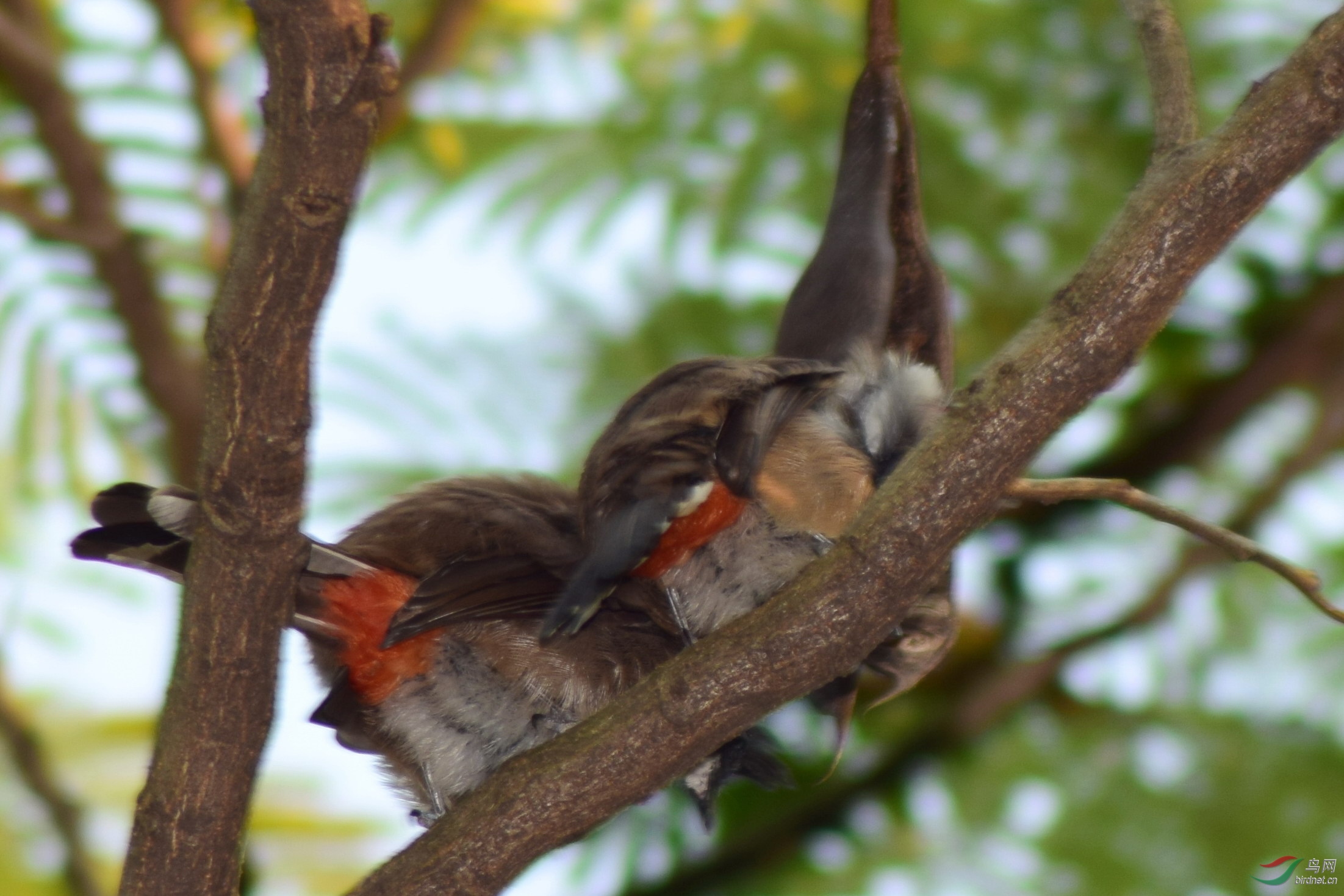 DSC_2046.JPG