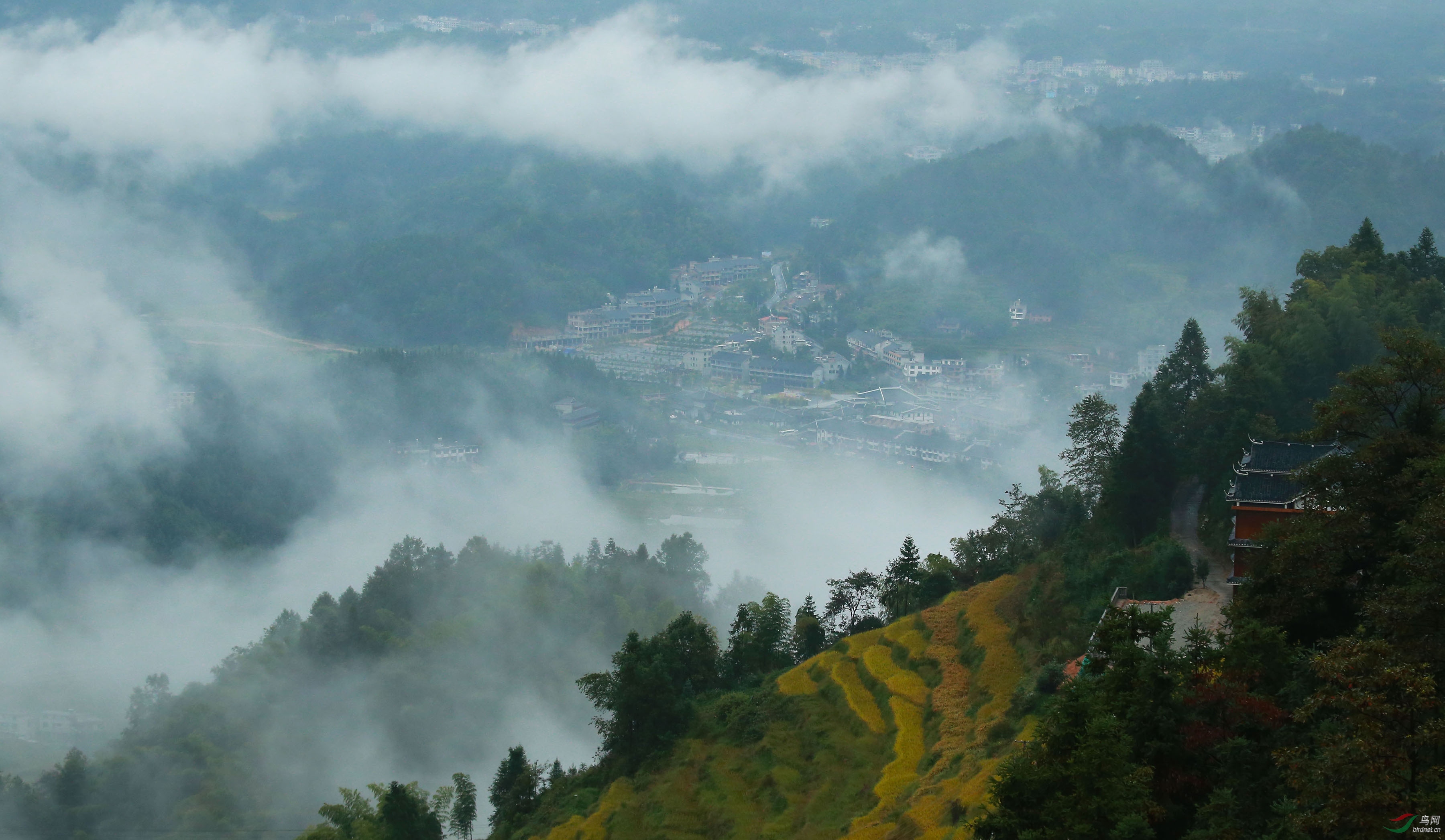 雨雾山涧