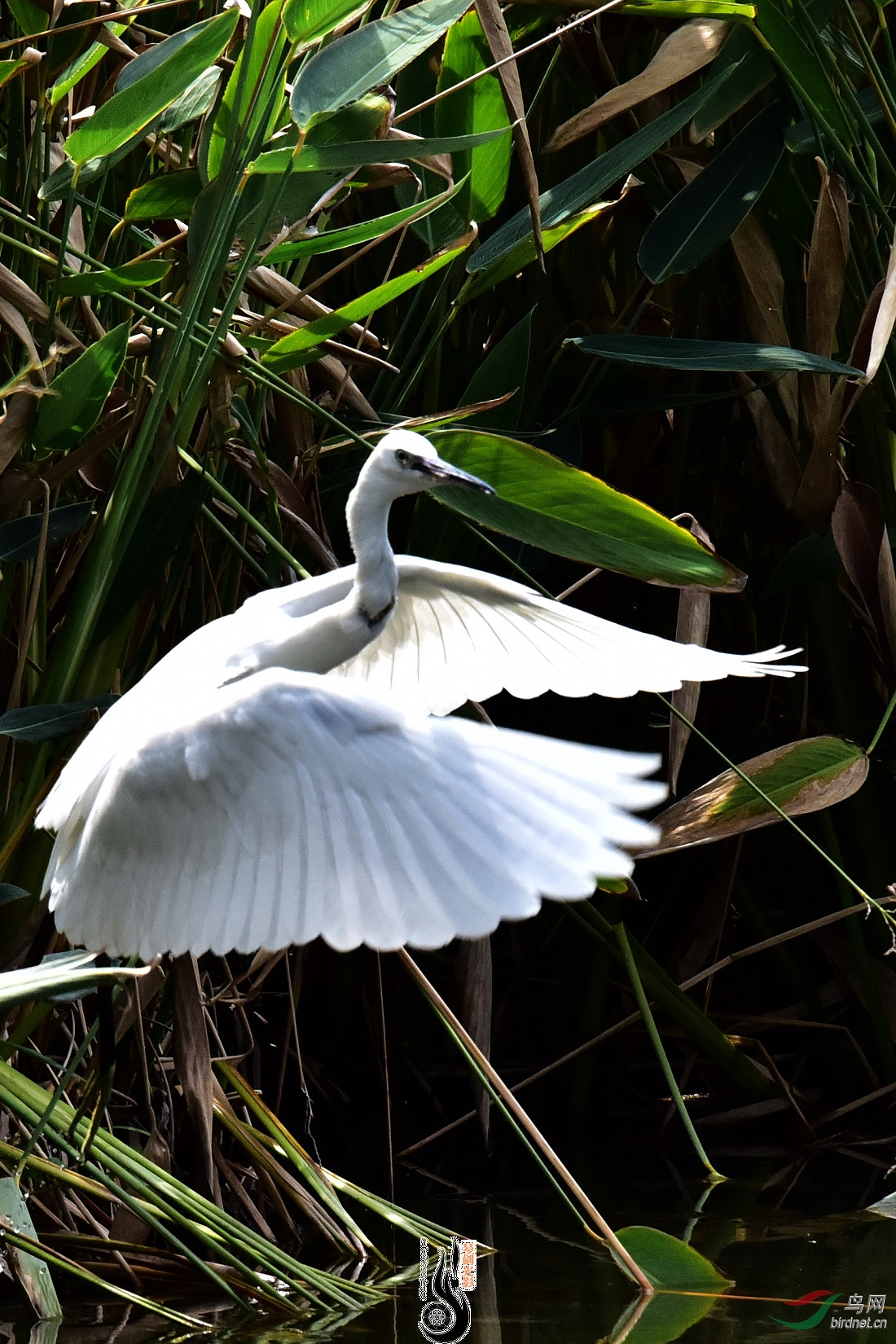 DSC_7957.JPG