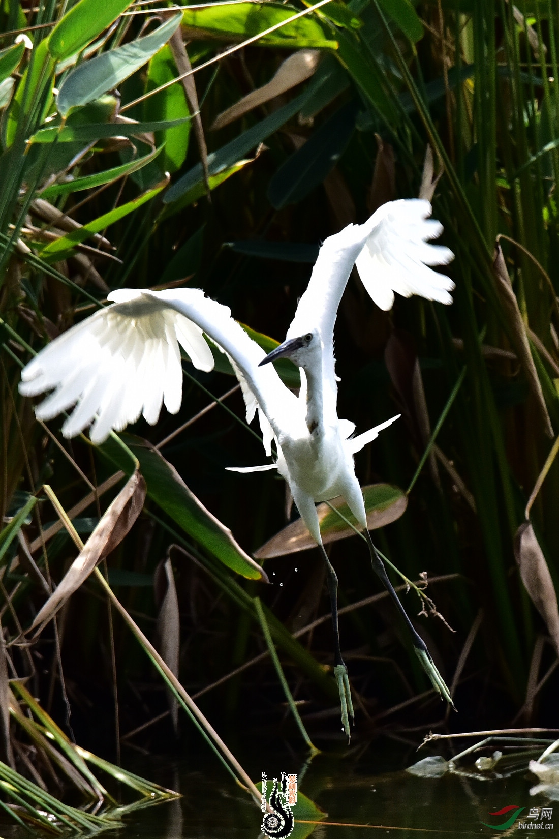 DSC_7961.JPG