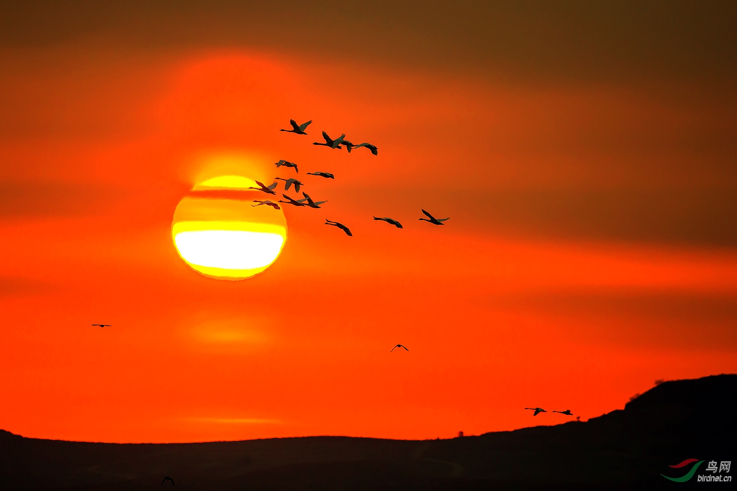 祝伟大祖国蒸蒸日上(恭喜荣获首页精华)