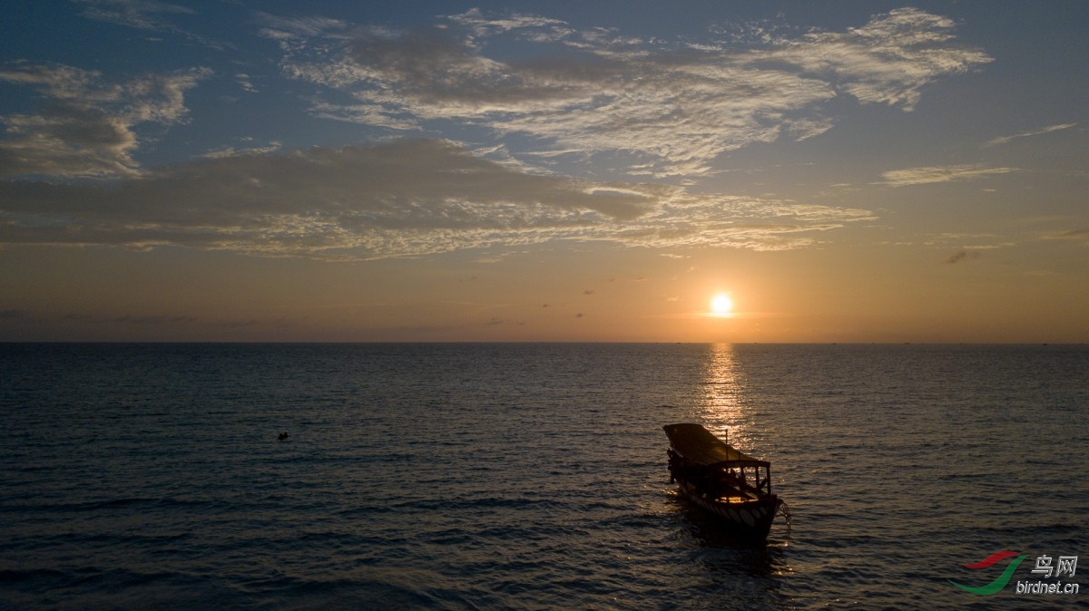 DJI_0490.jpg