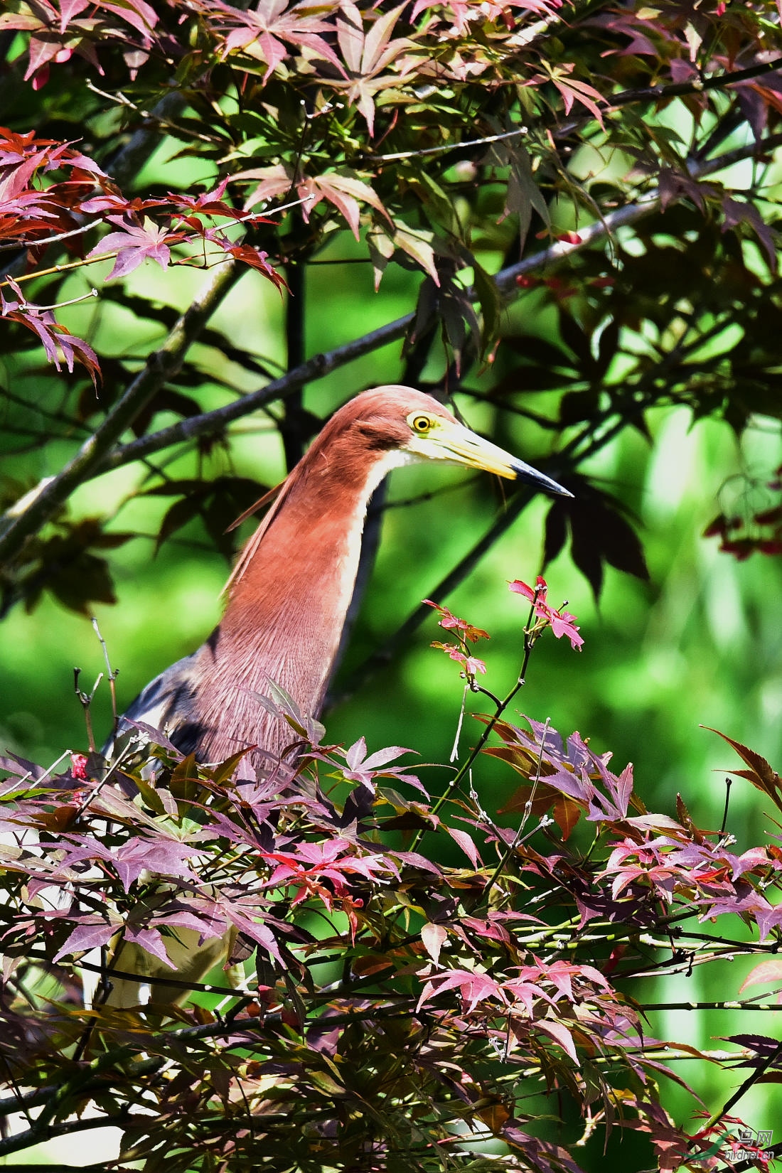 DSC_0003.JPG