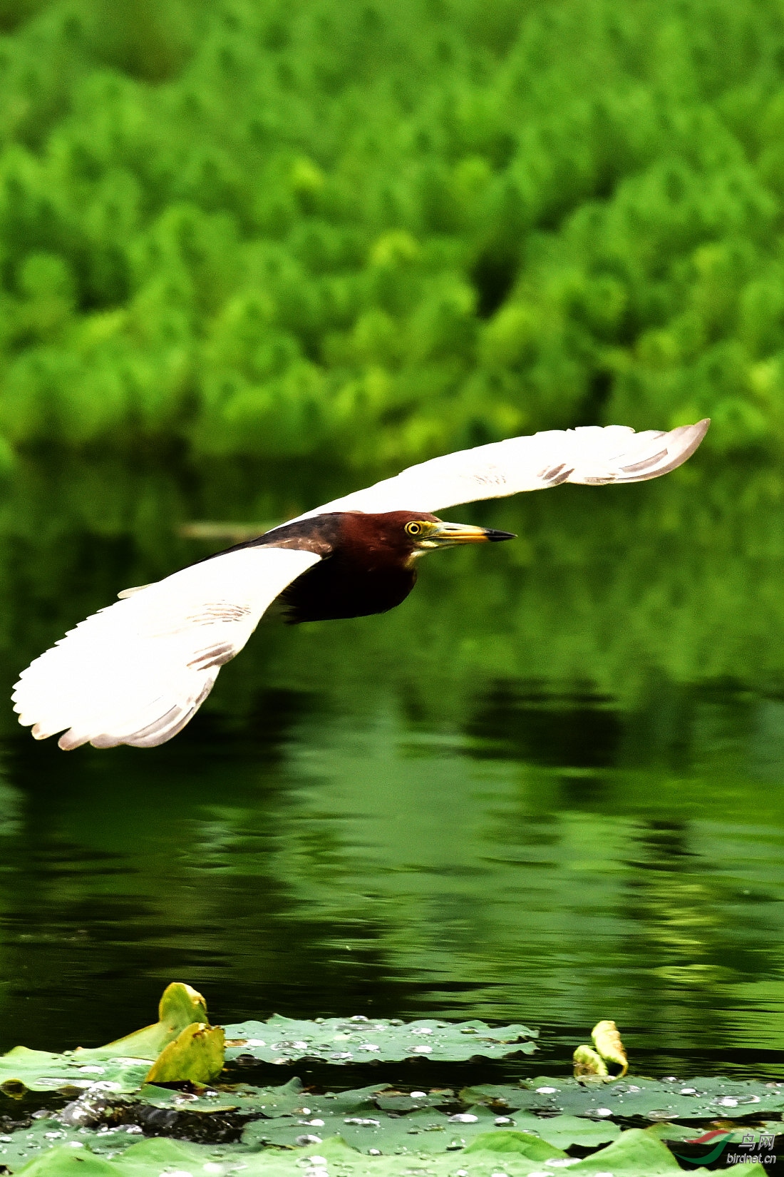 DSC_0009.JPG