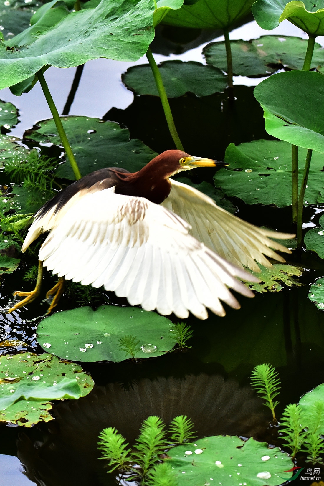 DSC_0018.JPG
