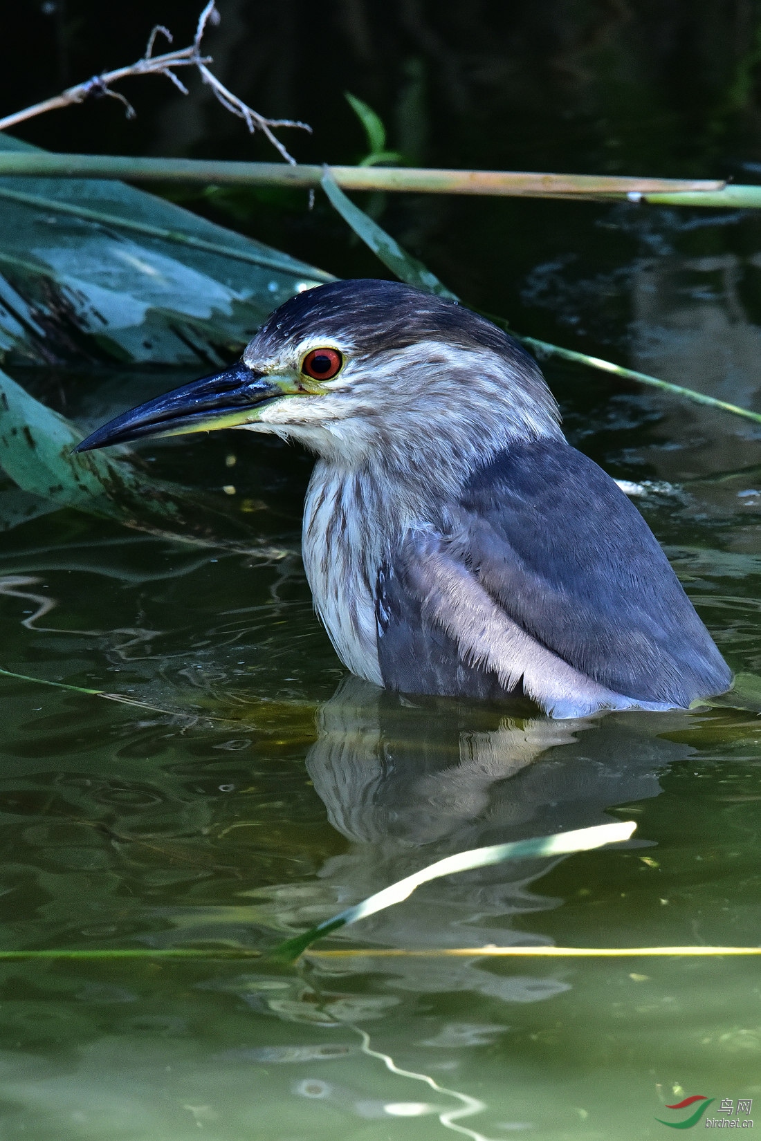 DSC_0021.JPG