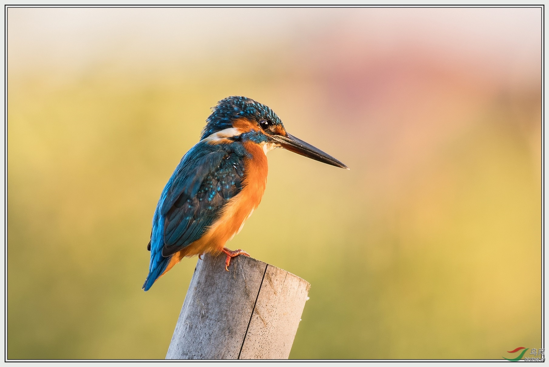 Ϧ���еĴ���