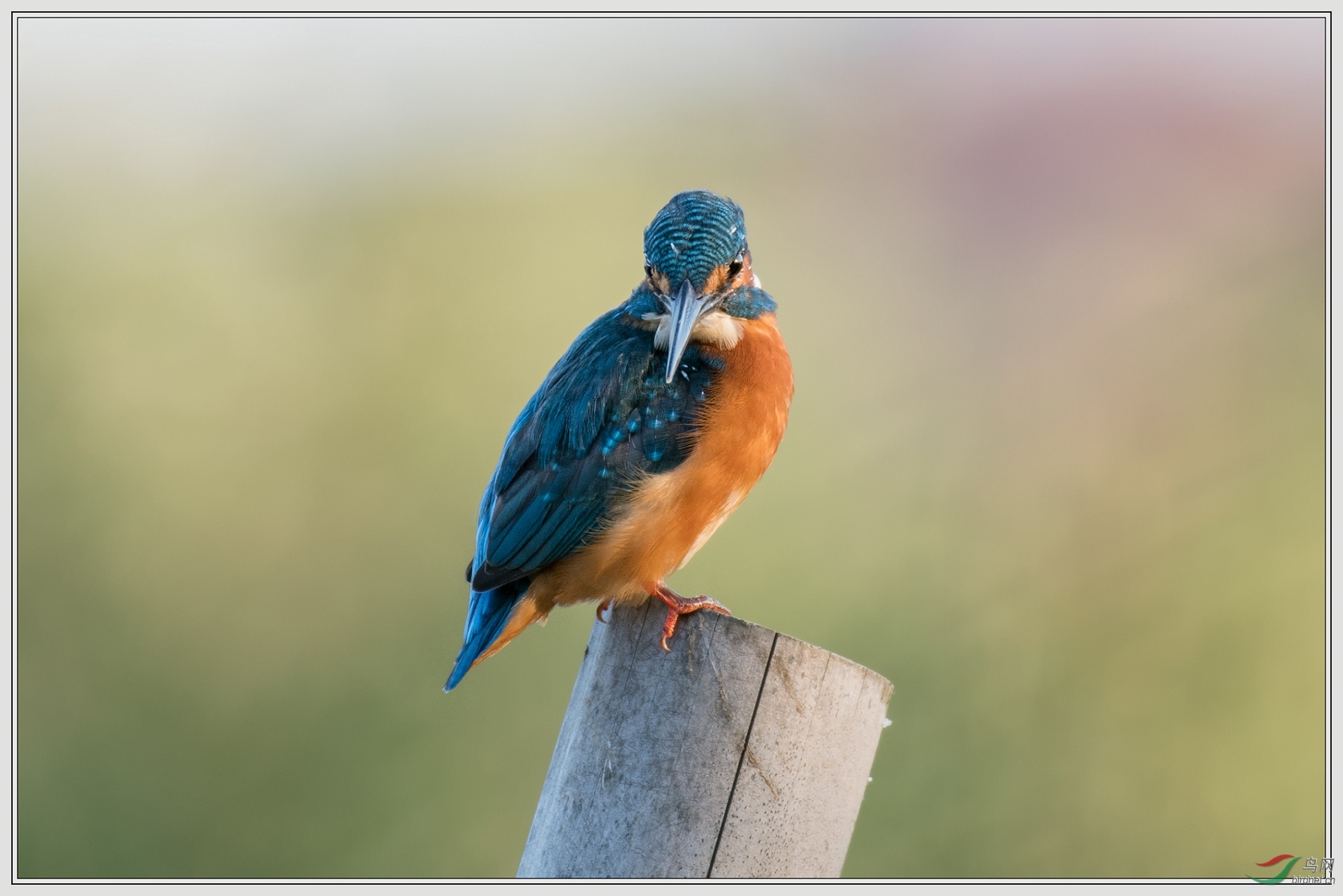 Ϧ���µĴ���2