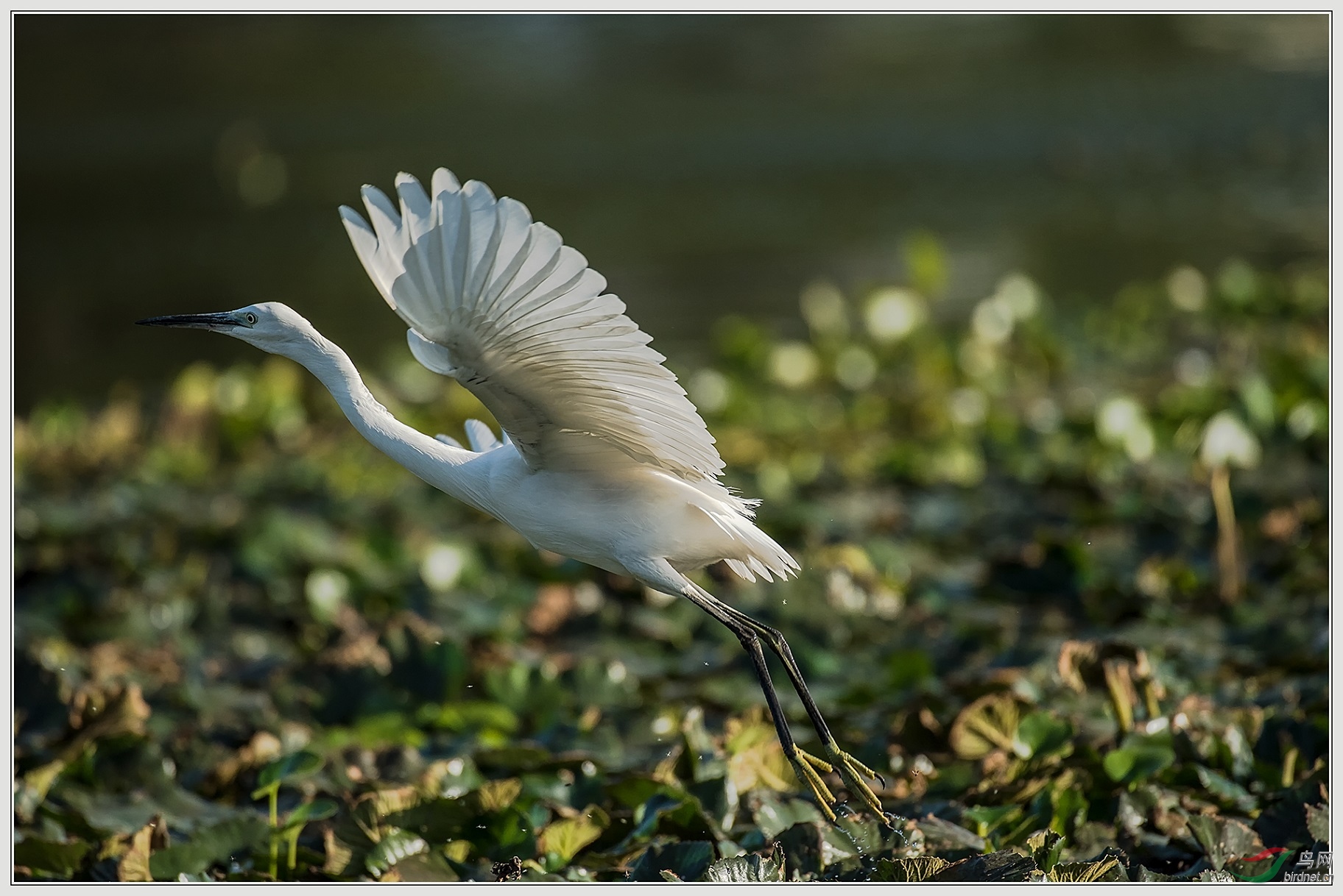 10�ɸ㲻����