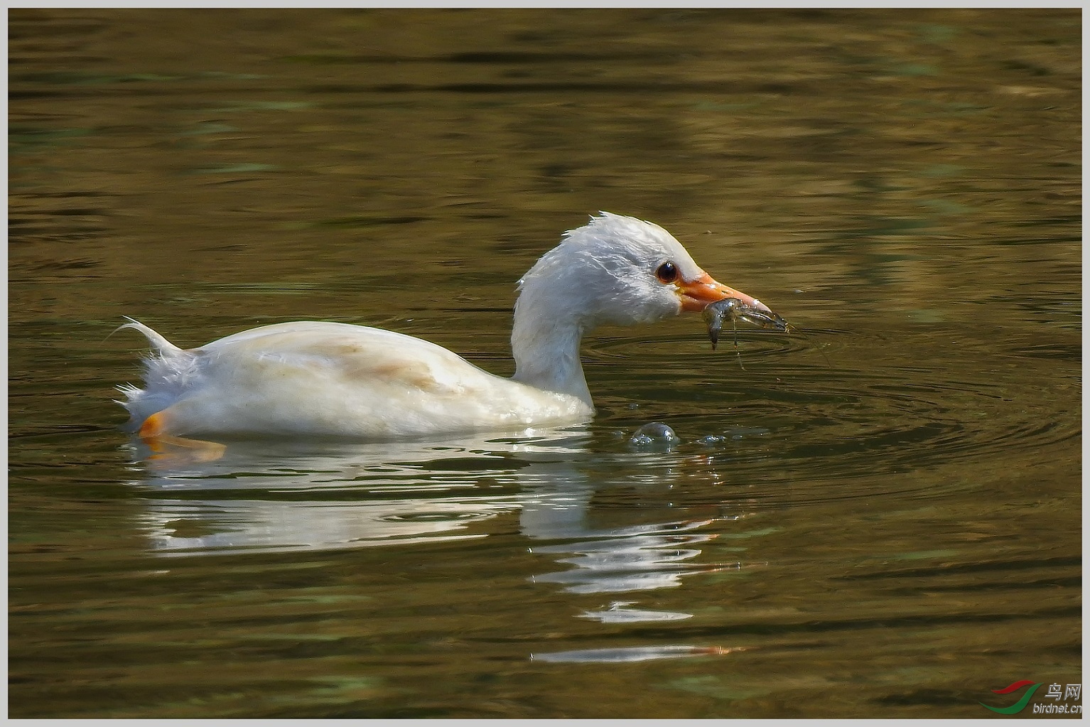 12���в��� 