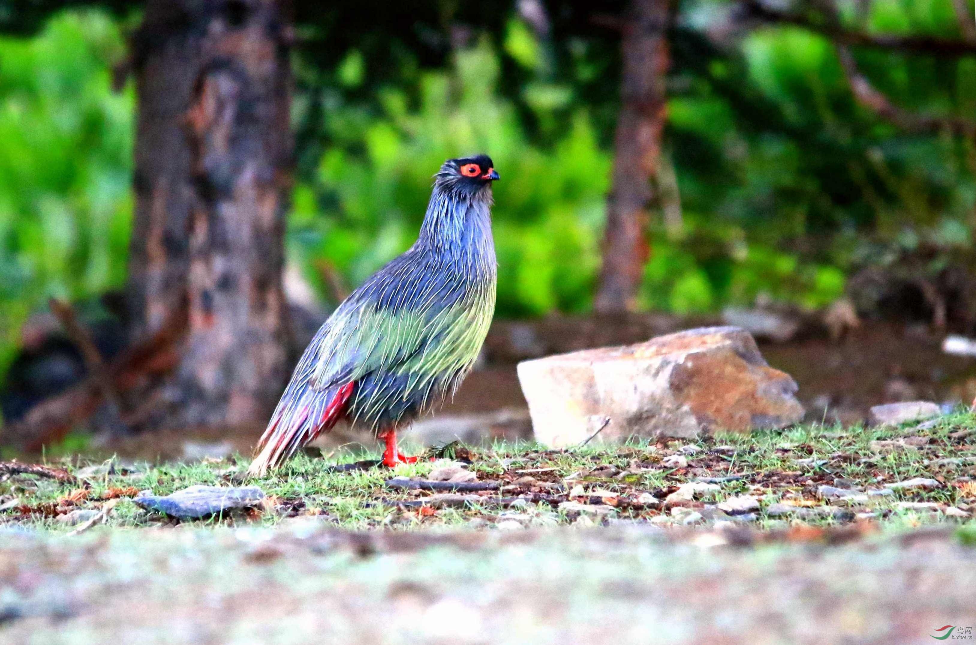 展示一下独脚功
