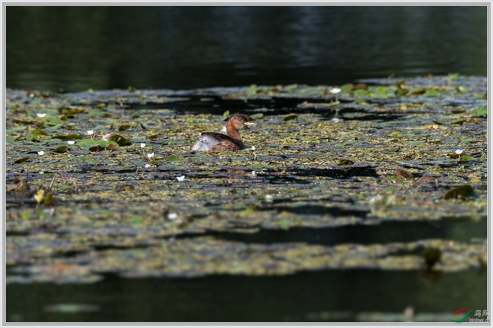 20��δ����