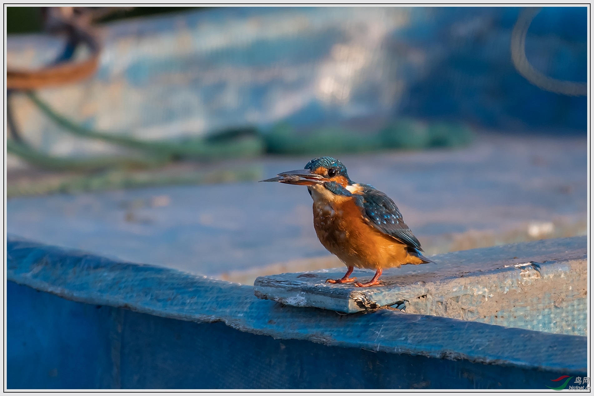 10��С������