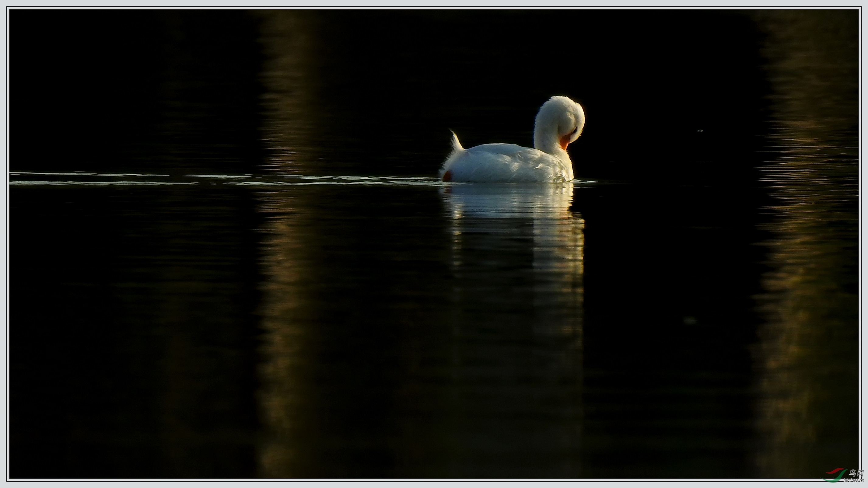 ����ױ��