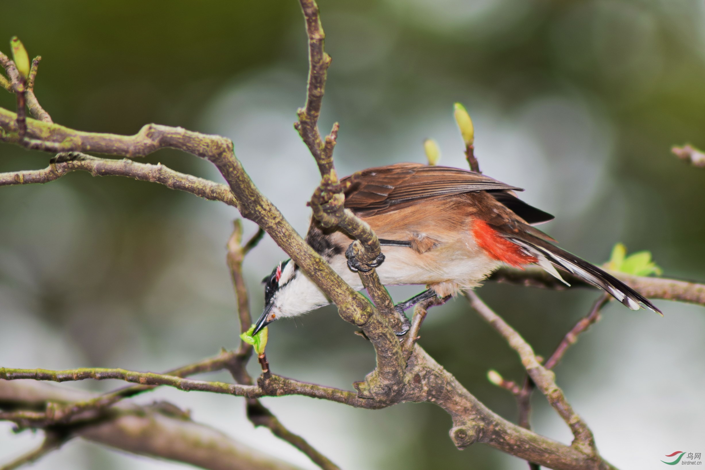DSC_2341.JPG