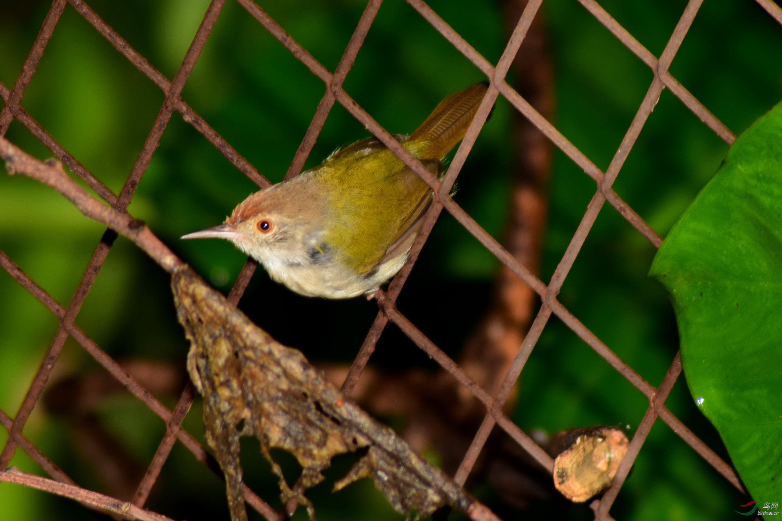 DSC_2280-2.JPG