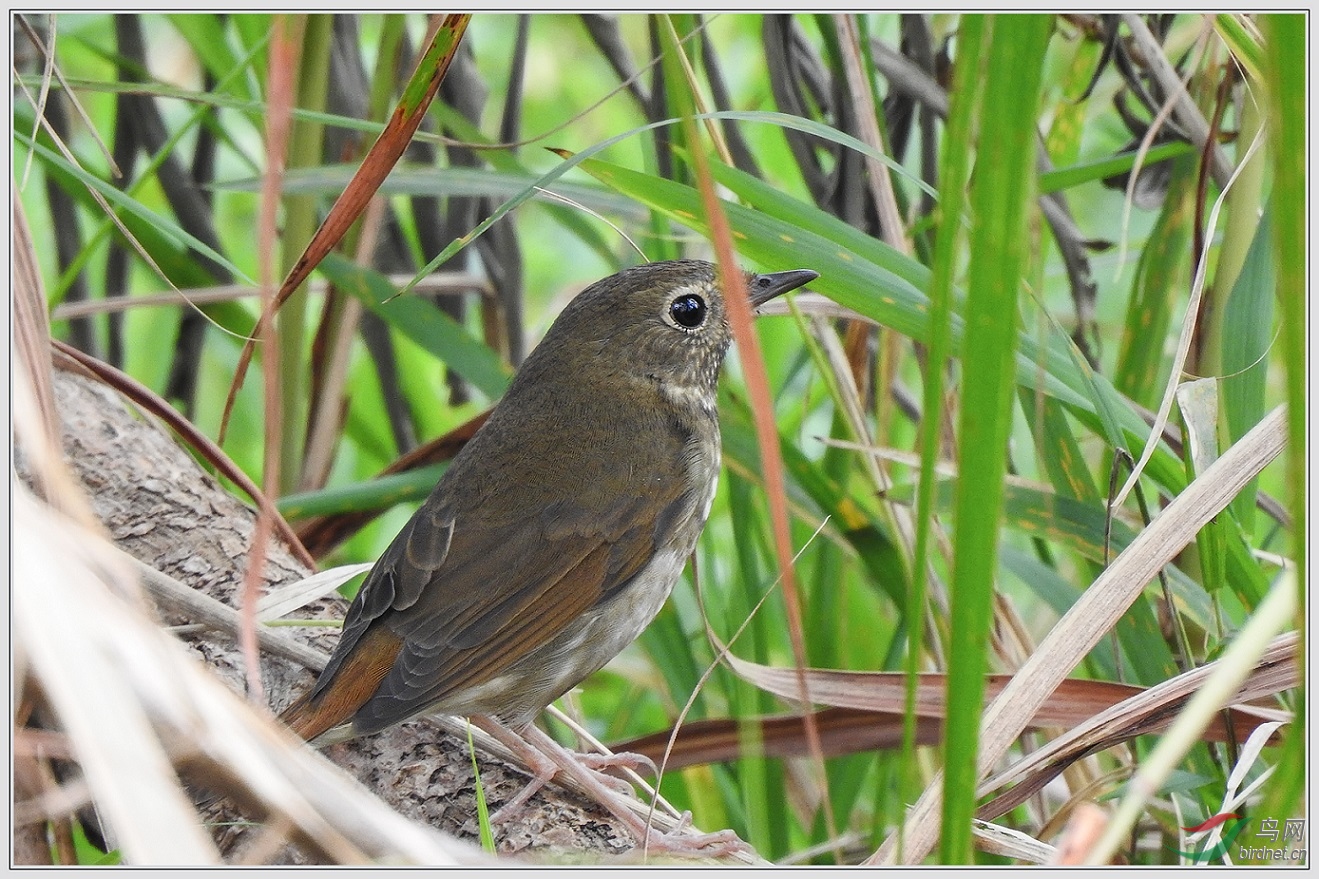 6��7�׵�����