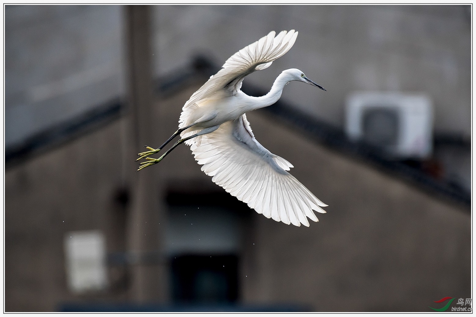 ���������⡣15�����