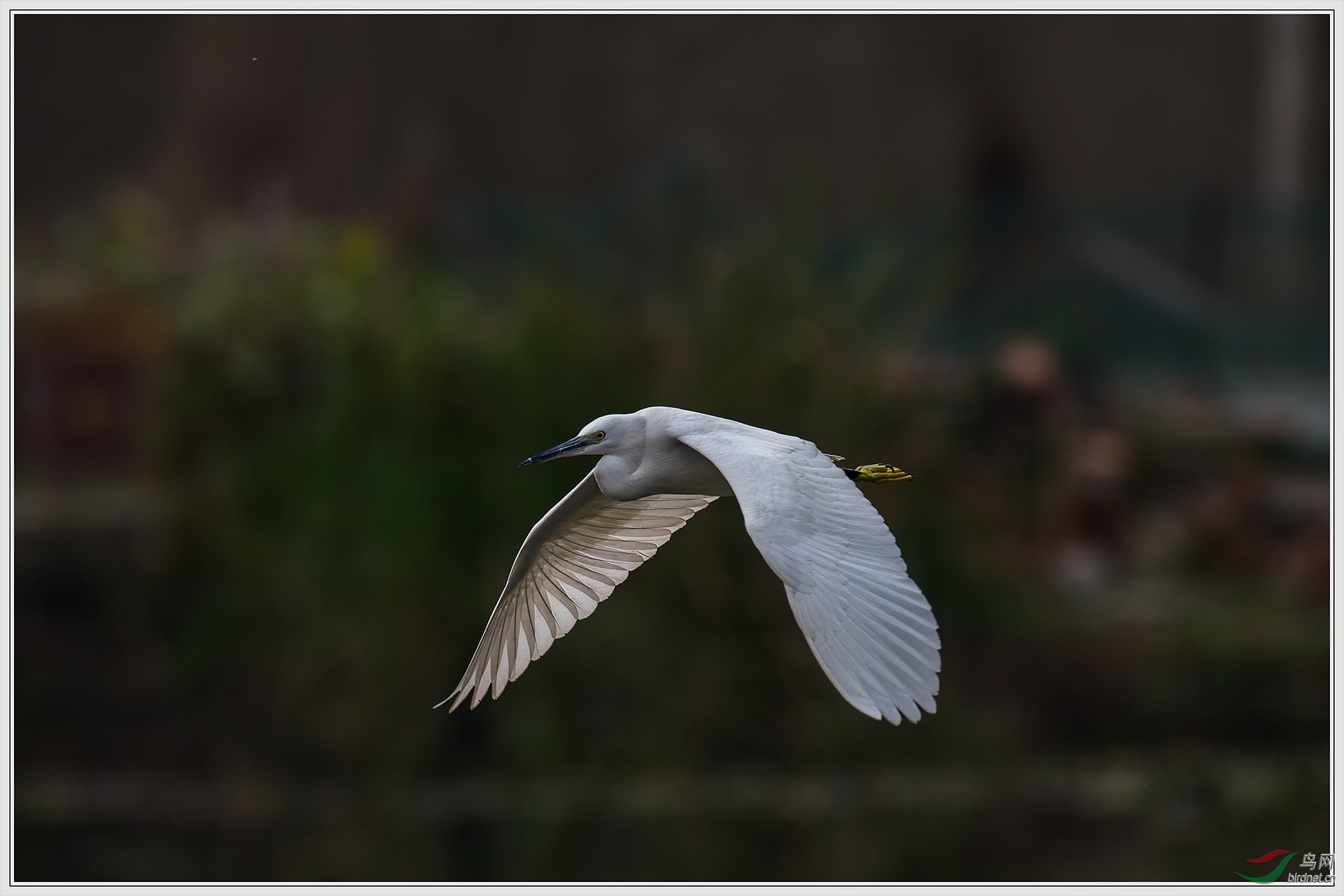 �ӹ�ˮ��20��