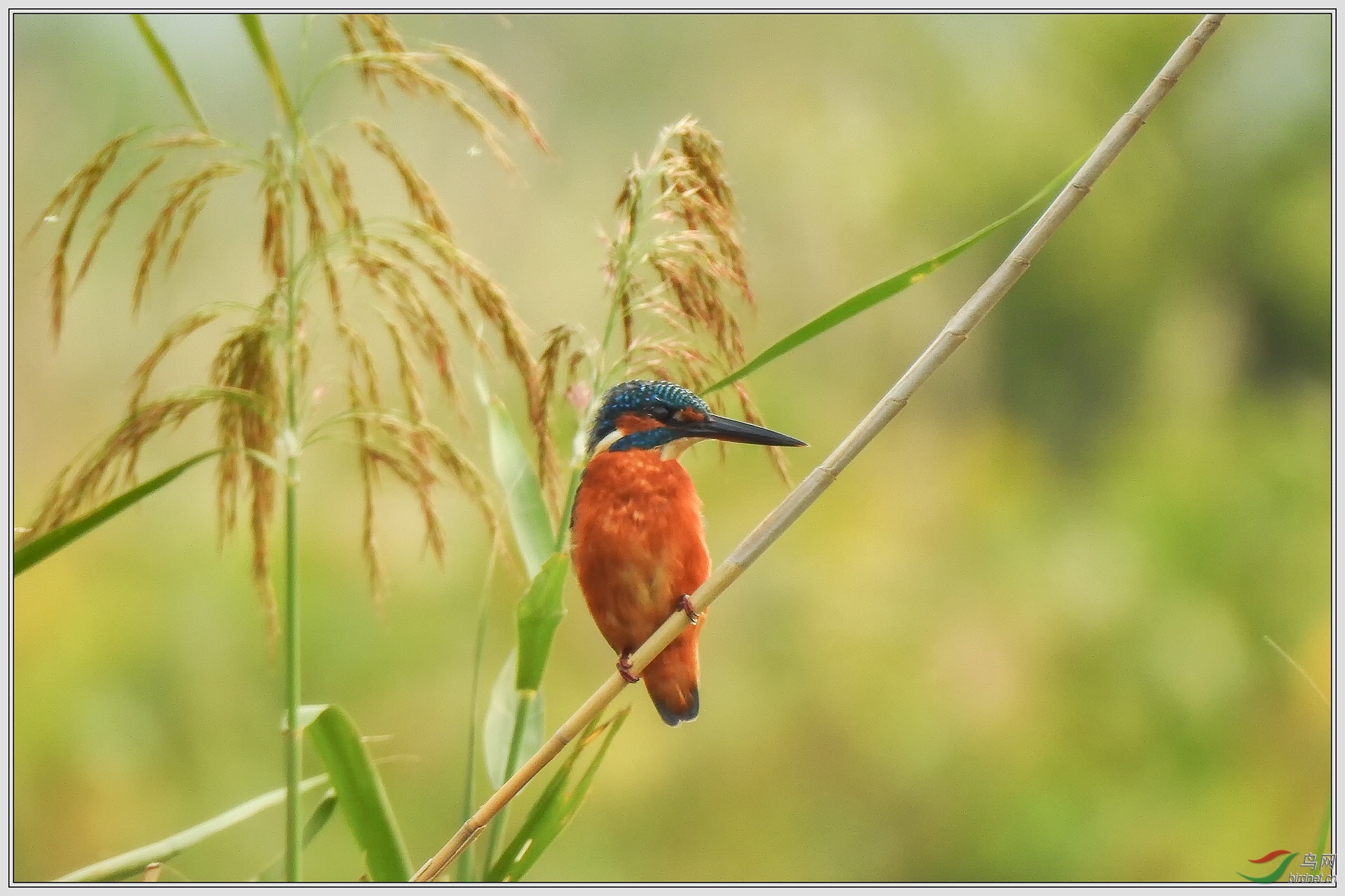 ���������25��