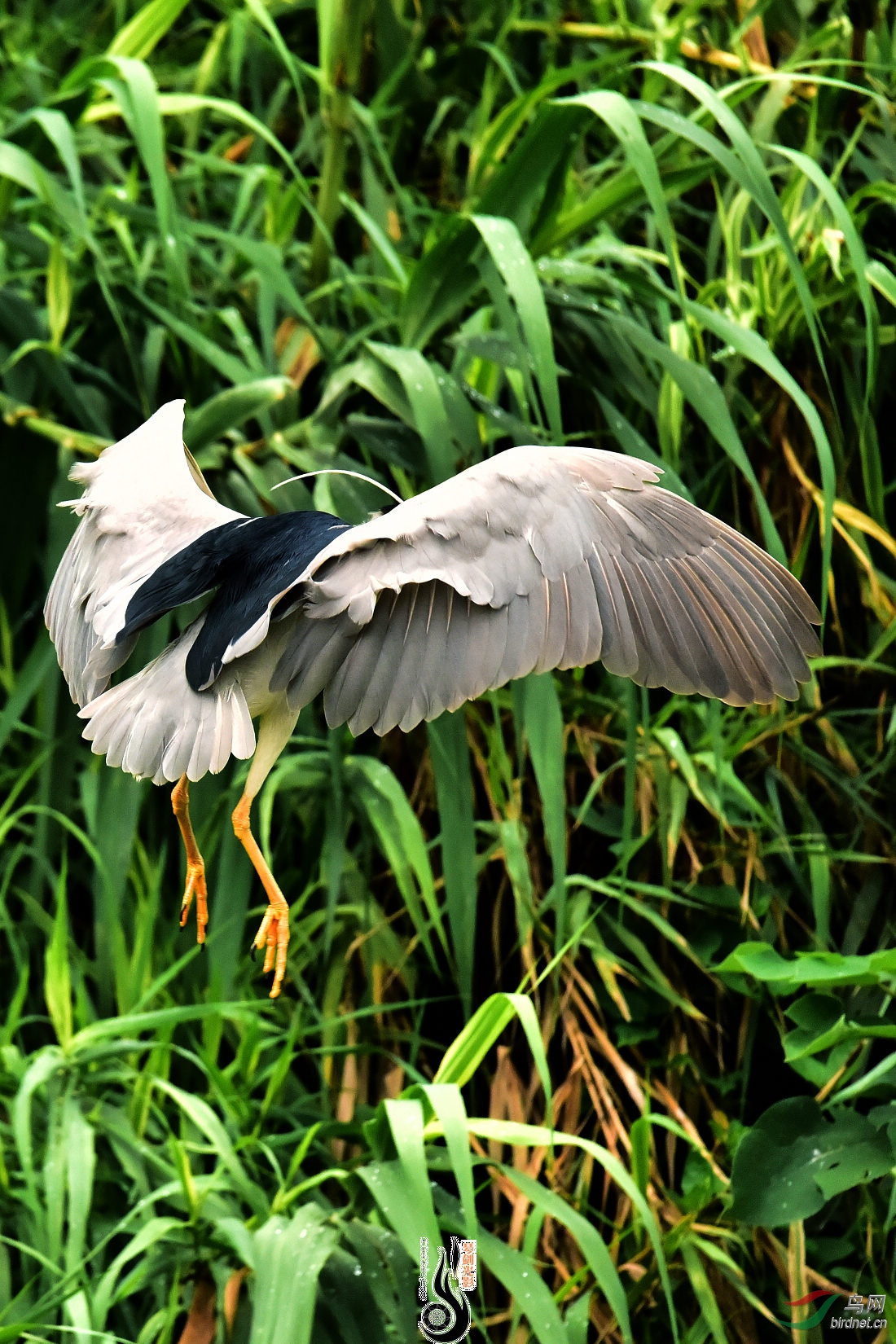 DSC_0179.JPG
