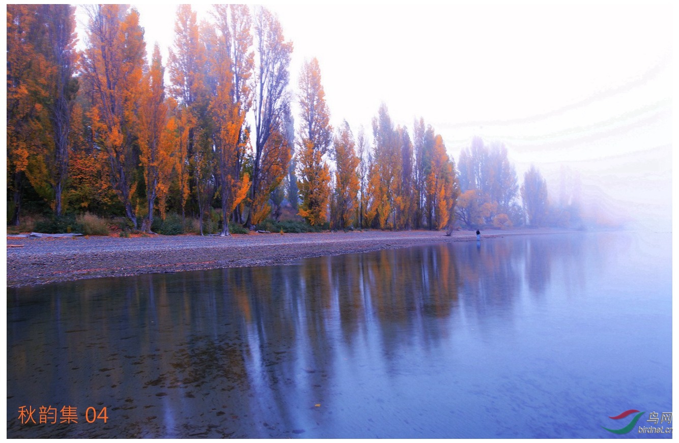 地球南温带的秋天