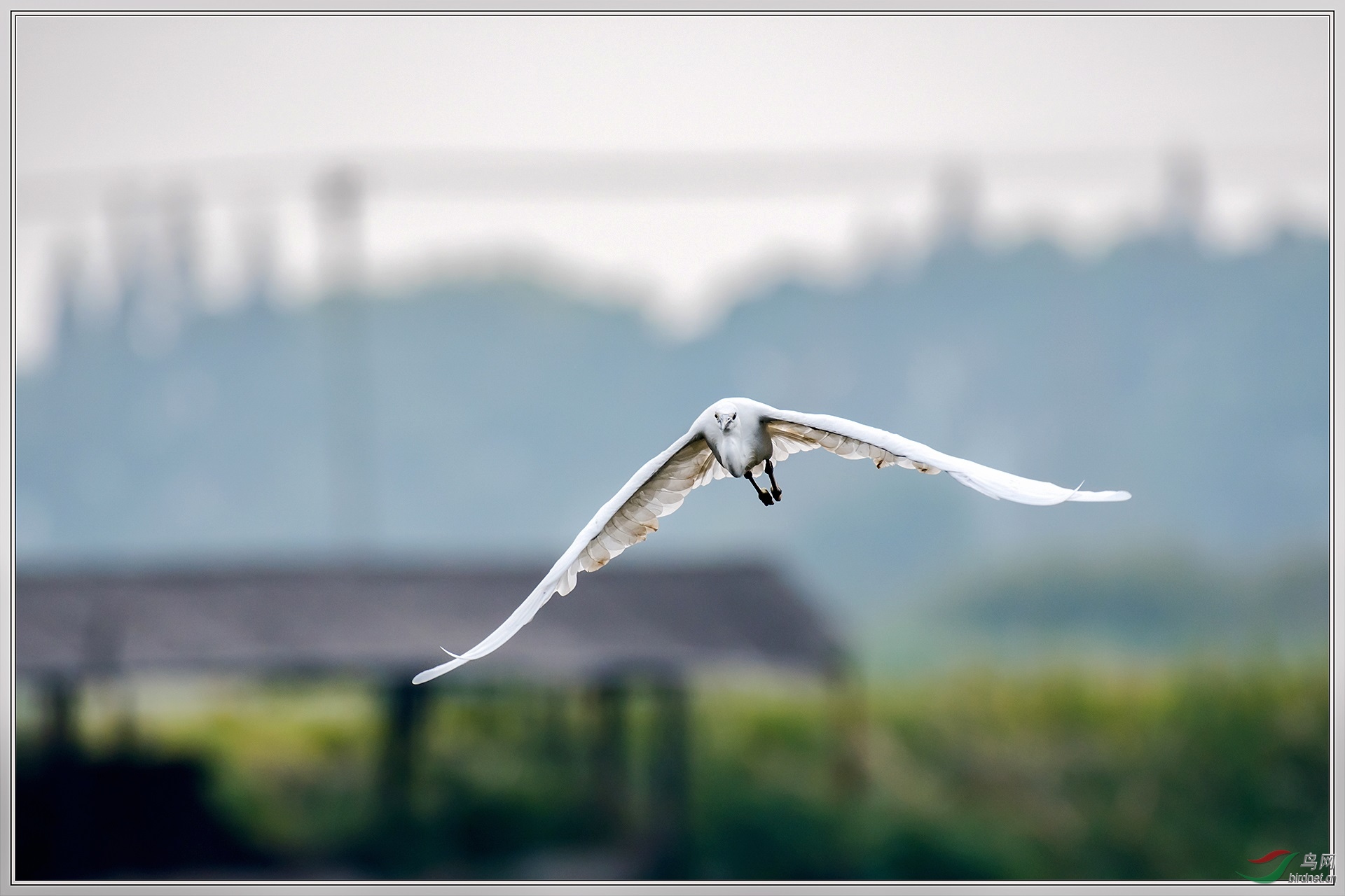 ����20��