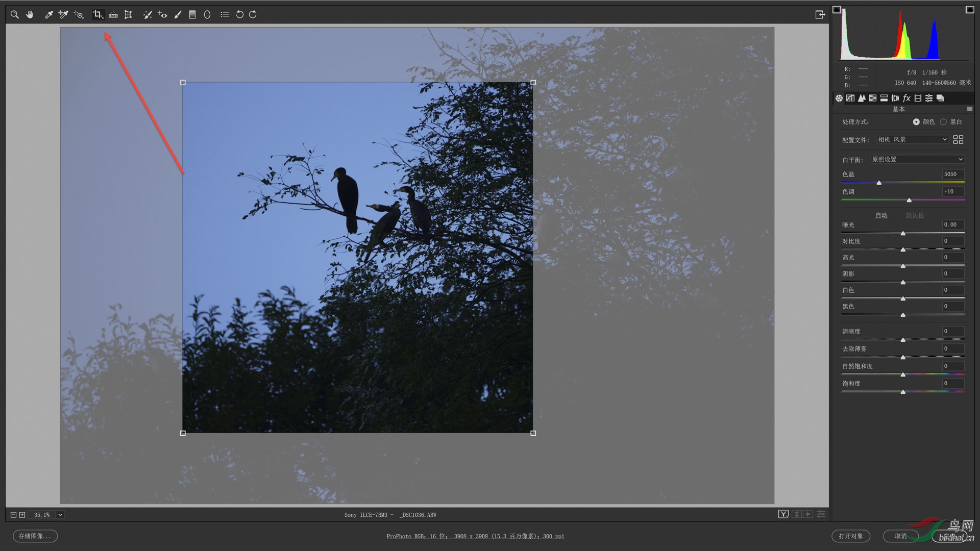 01 ��ԭͼ����ACR�����вü��� s.jpg