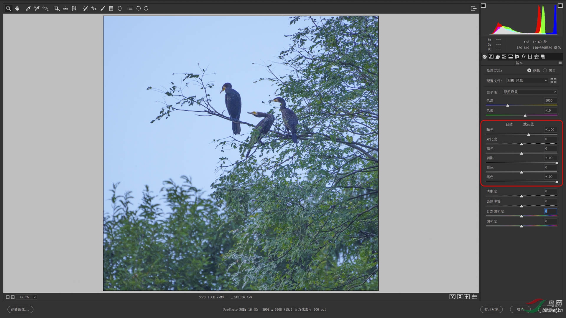 02 �Ƚ�����Ӱ���͡���ɫ�����ϵ�ͷ���ٽ����ع⡱����������0.35 s.jpg