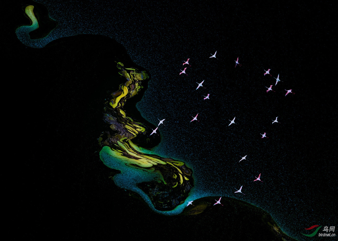 -OK 1574.һȺ������wxy136-pic-5ba9d6151d7b1.jpg