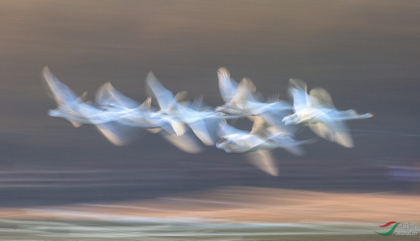 -0202.��֮�� Dream dance.jpg