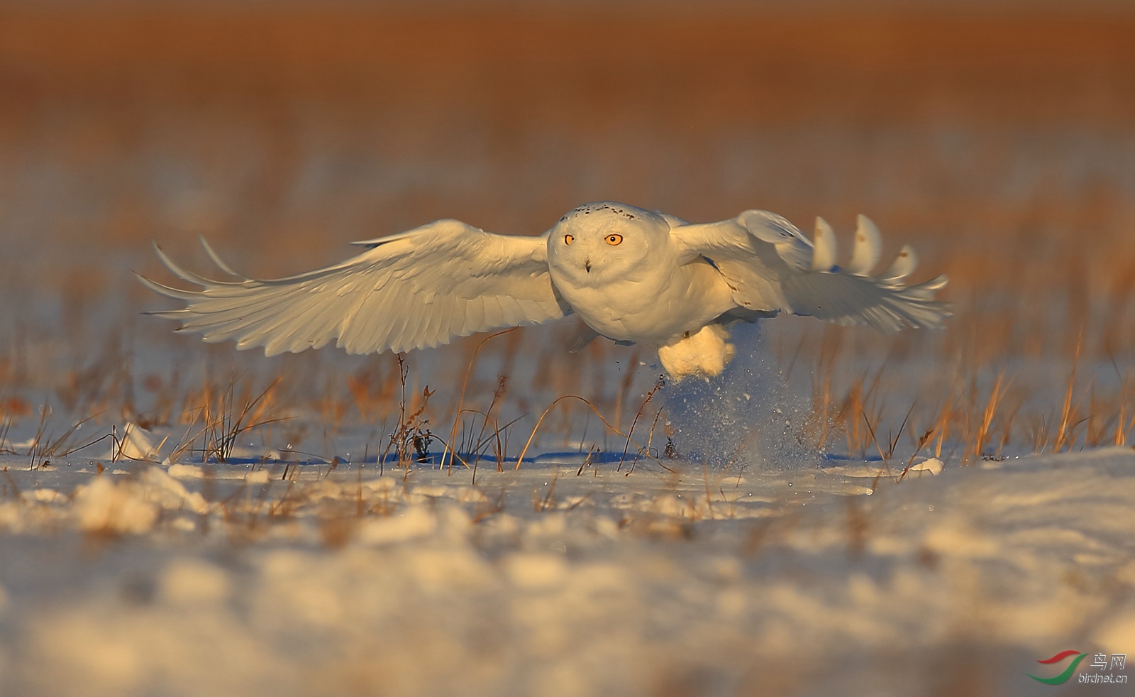 -2255.ѩ�^ (3).jpg