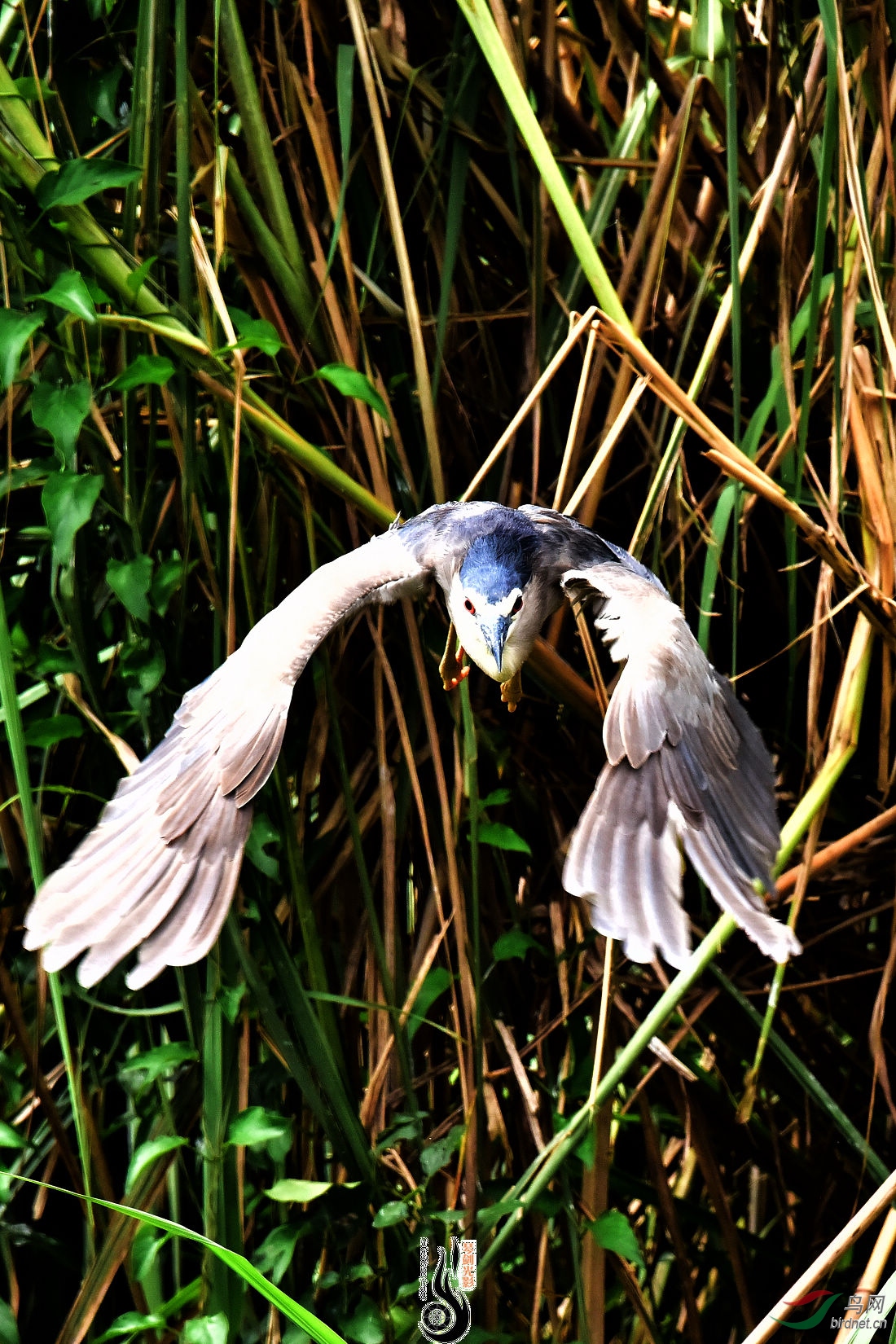 DSC_0357.JPG