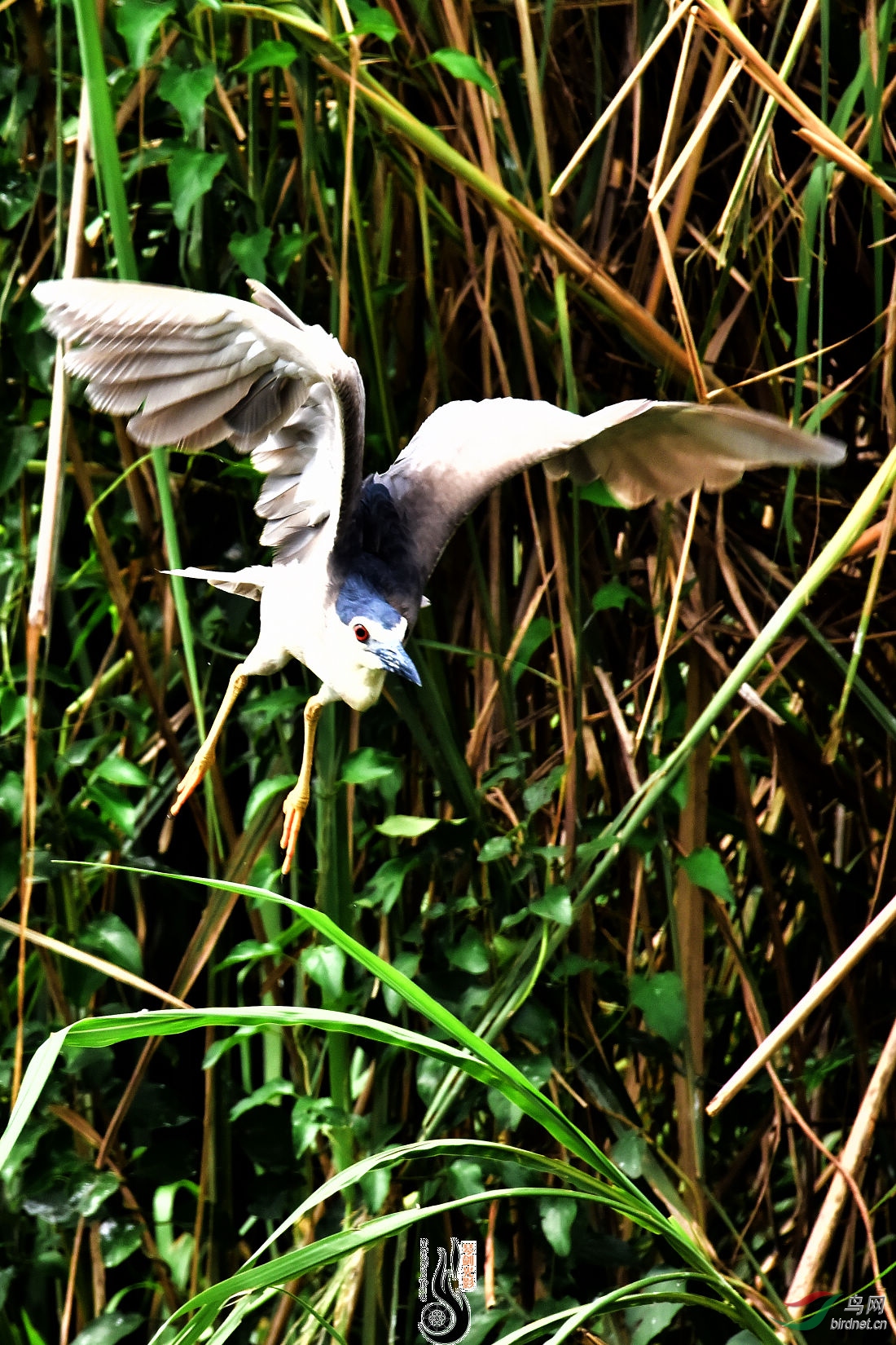 DSC_0358.JPG