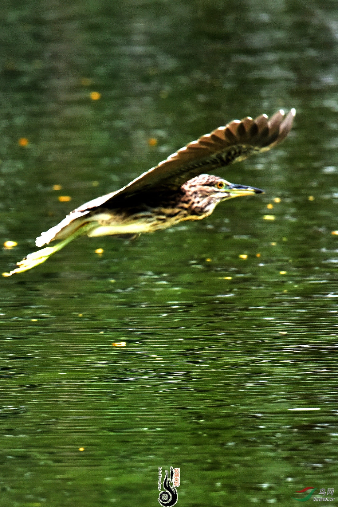 DSC_0378.JPG