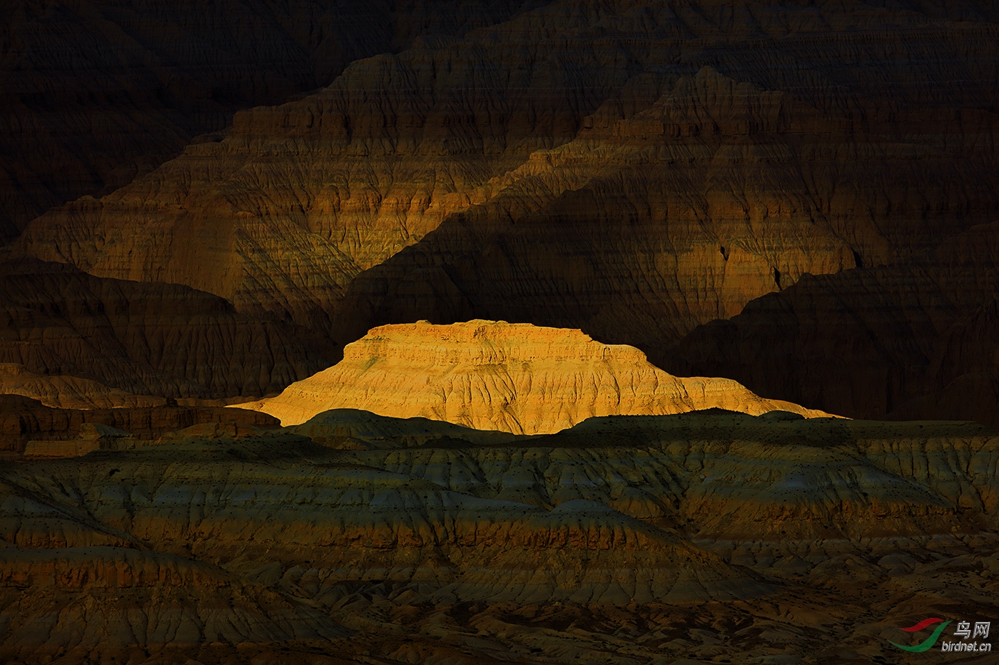 8.�����ؾ�_Soil forest land_����Ȼ���.jpg