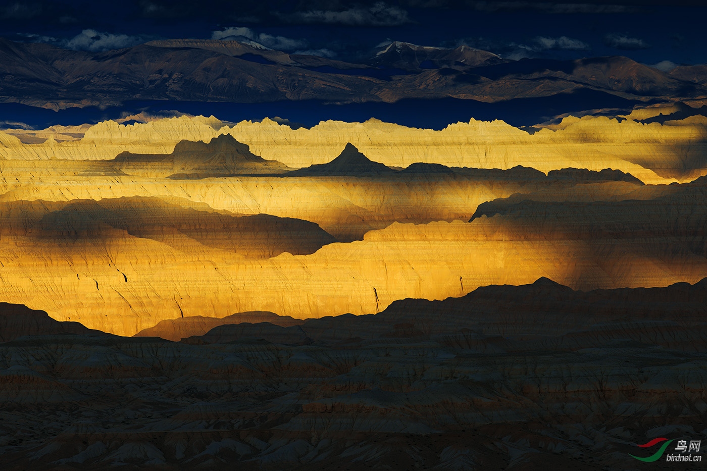 60.��������(2)_Magical soil(2)_����Ȼ���.jpg