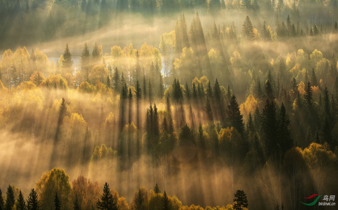 211.��Ӱ.jpg