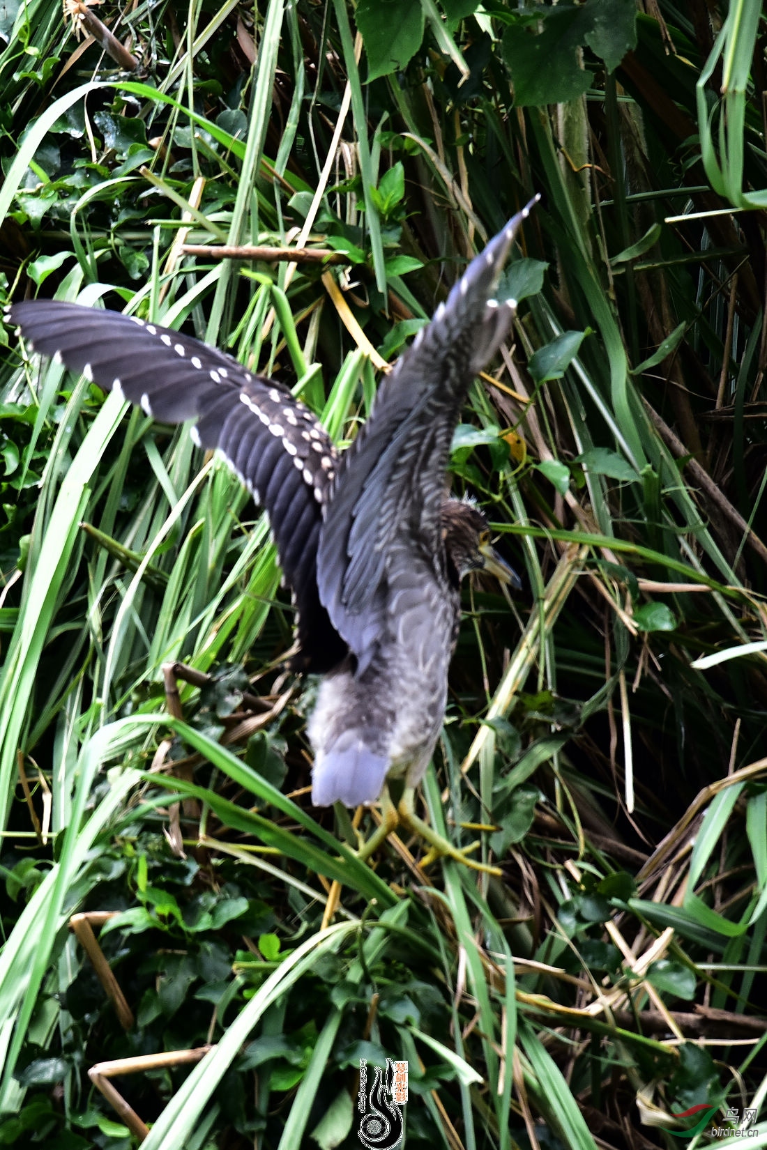 DSC_0841.JPG