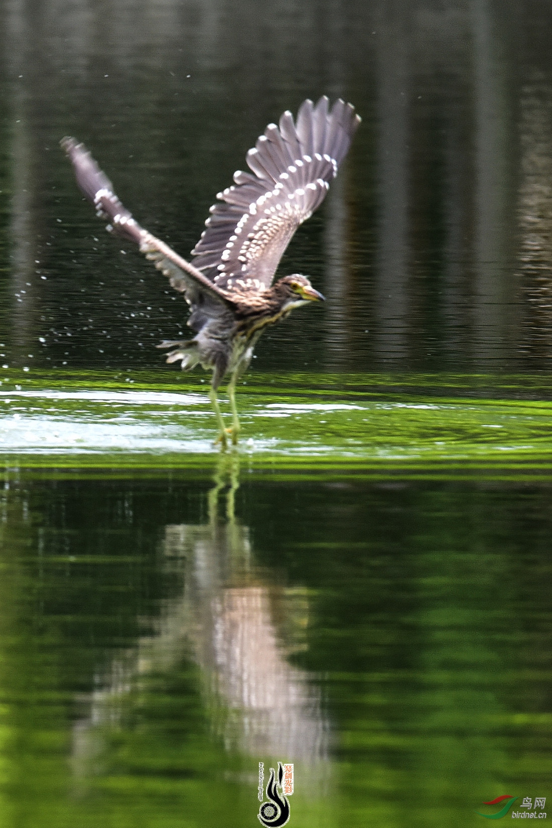 DSC_0865.JPG