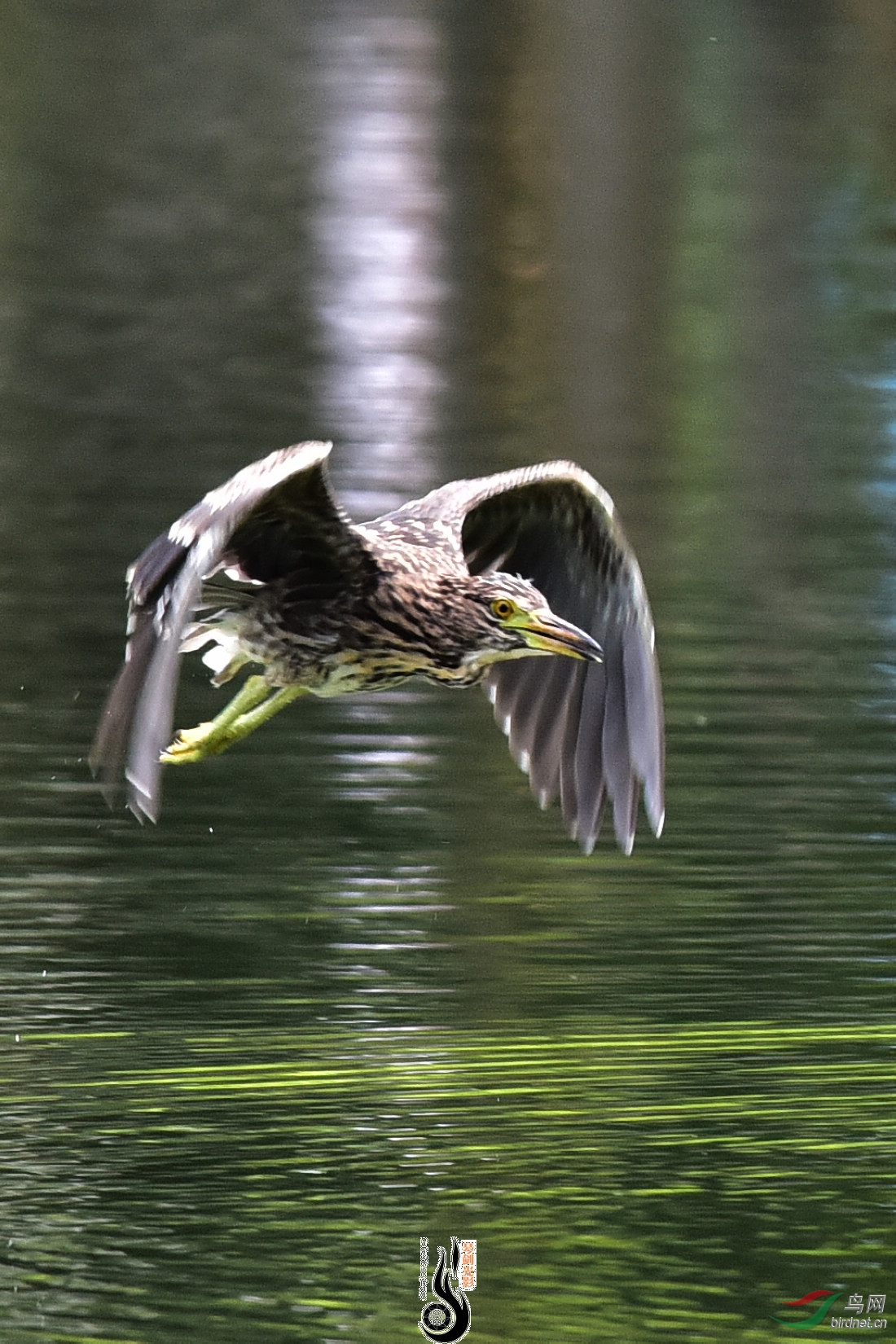 DSC_0868.JPG