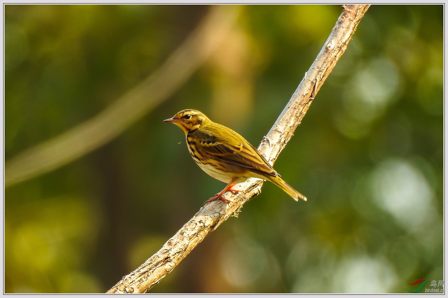 ����12��