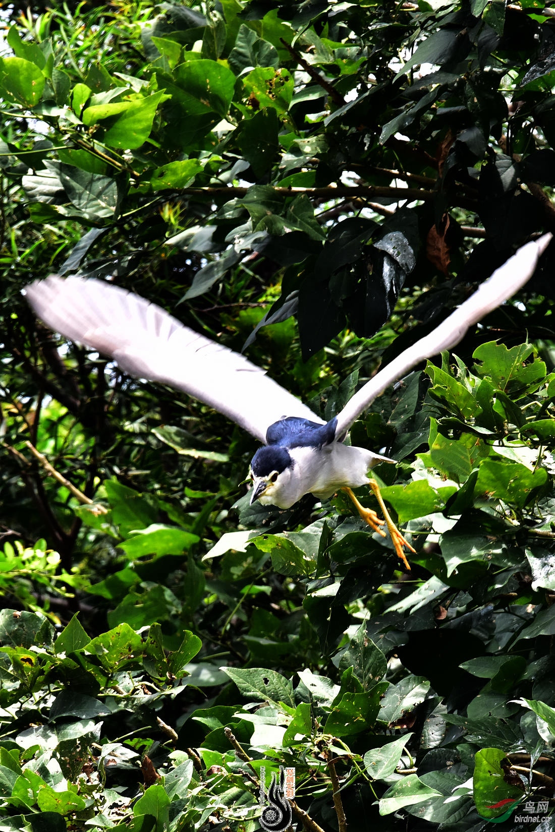 DSC_0877.JPG