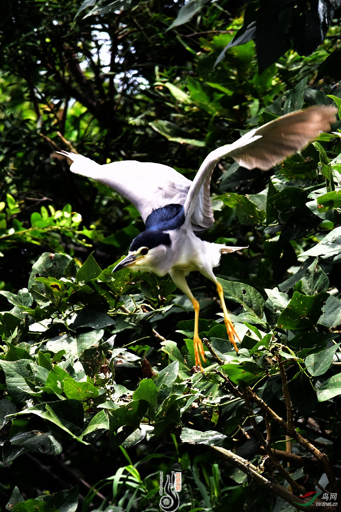 DSC_0878.JPG